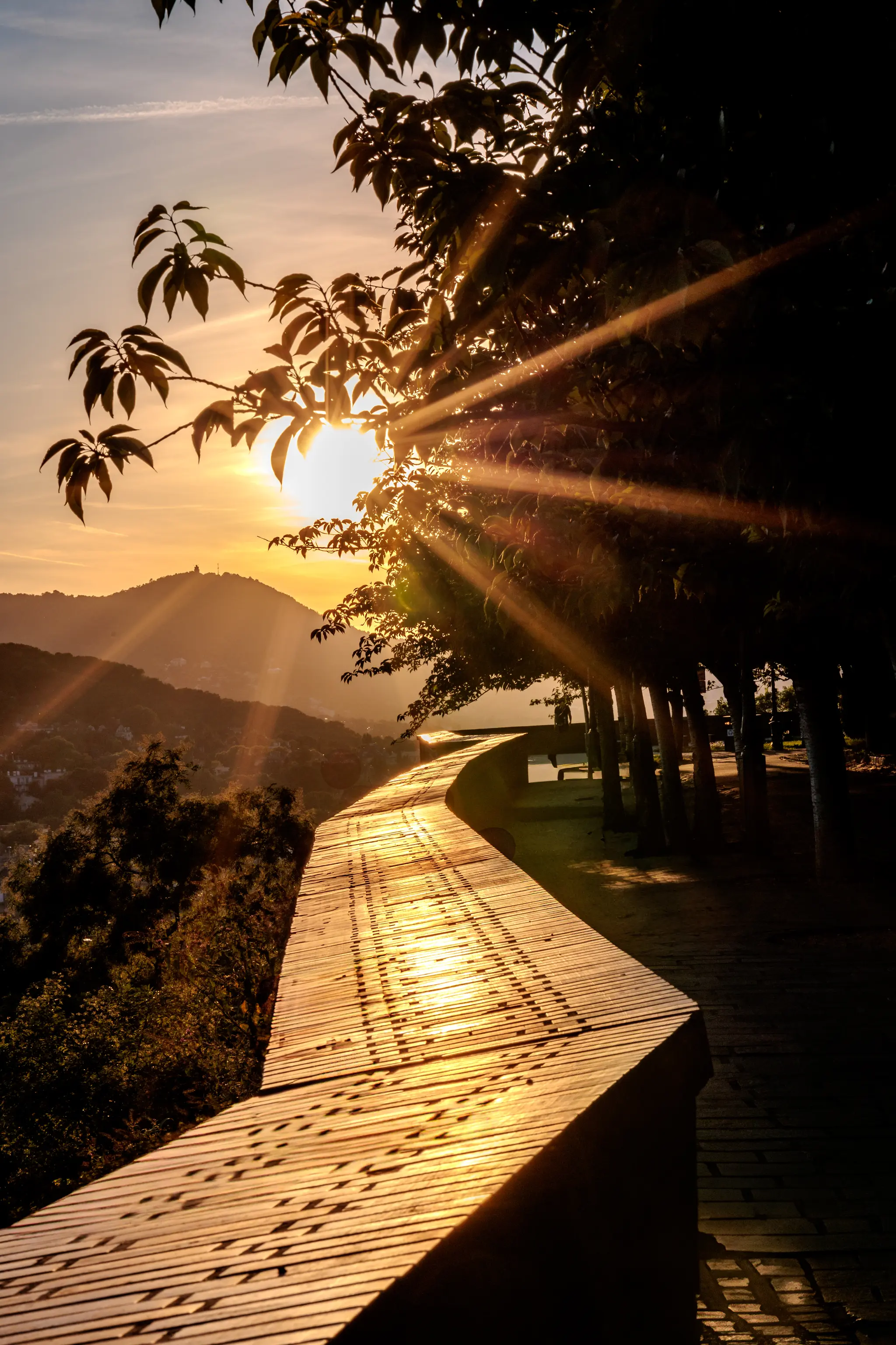 Sonnenuntergang über Bergen mit einem gewundenen Holzweg, der im goldenen Licht strahlt, und Sonnenstrahlen, die durch Baumkronen fallen. 