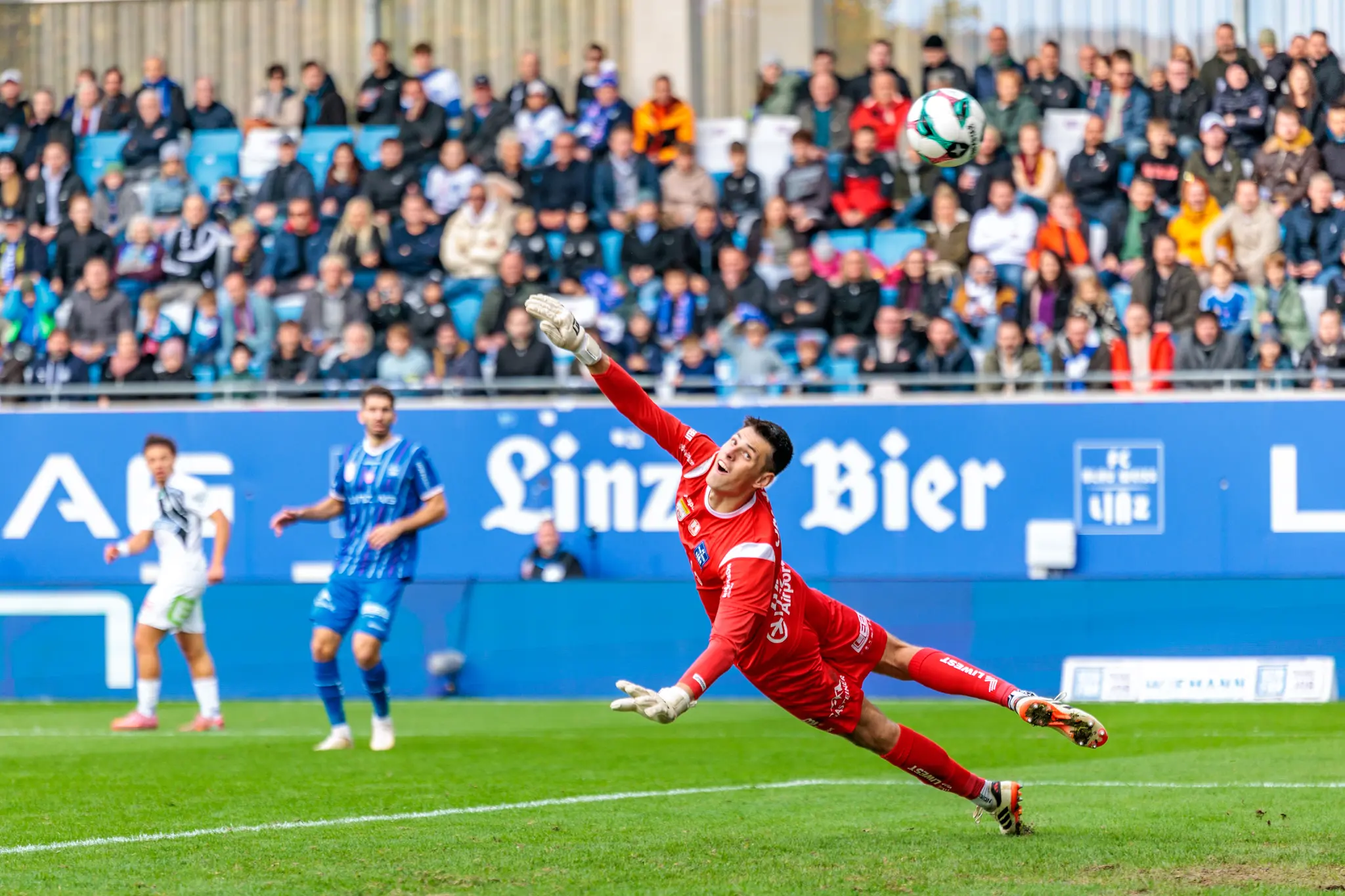 Sturm-Graz-Torhüter Matteo Bignetti zeigt eine spektakuläre Glanzparade im Bundesligaspiel gegen den FC Blau-Weiß Linz