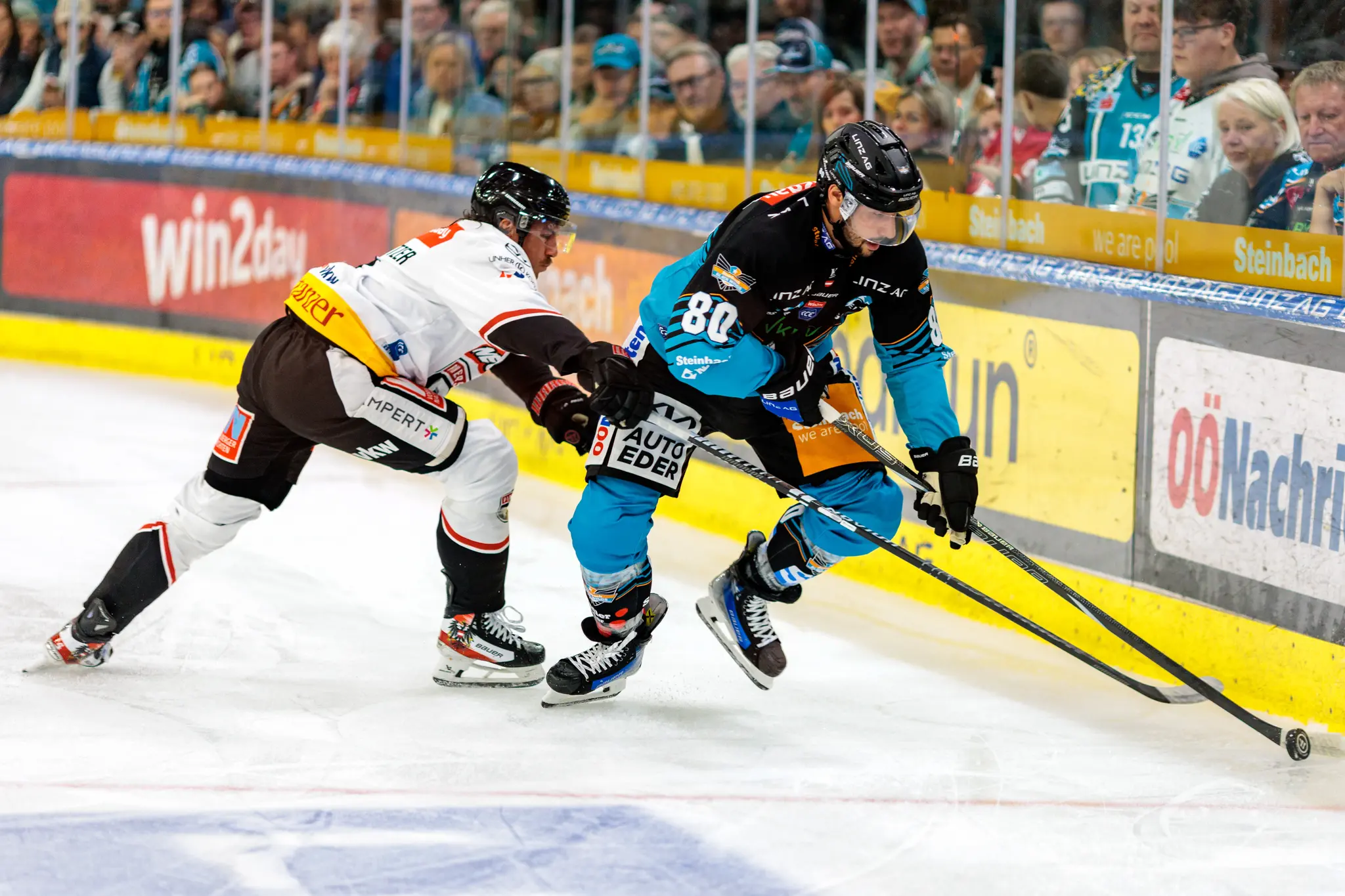 Eishockeyspieler Julian Pusnik (Nr. 80) der Black Wings und Mark Mussbacher in einem weiß-schwarz-roten Trikot kämpfen während eines Spiels auf dem Eis um den Puck