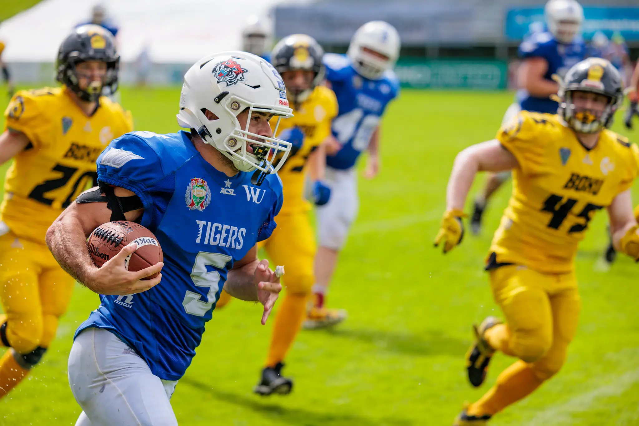 Ein American-Football-Spieler in blauem Trikot mit weißem Helm läuft mit dem Ball in Aktion auf dem Spielfeld, verfolgt von Gegenspielern in gelben Uniformen