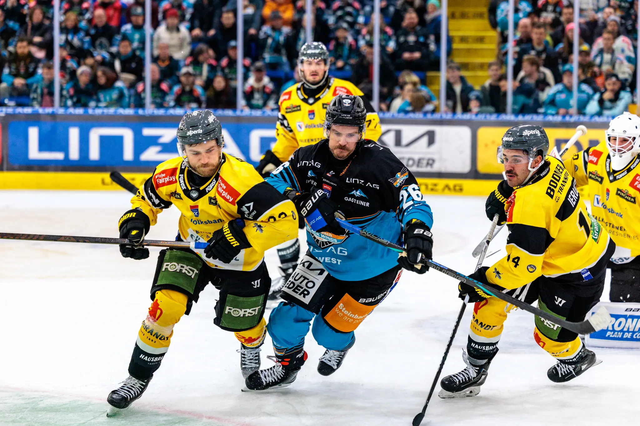 Der Eishockeyspieler Travis Barron (#26) von den Black Wings Linz in einem intensiven Zweikampf um den Puck gegen die Spieler des HC Pustertal