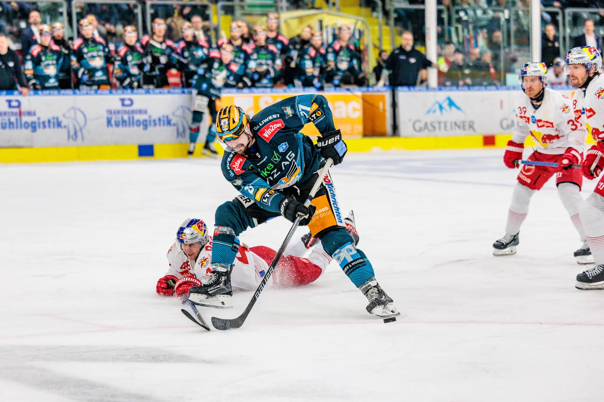 Ein Eishockeyspieler der Black Wings Linz in dunklem Trikot führt den Puck, während ein Spieler von Red Bull Salzburg am Eis liegt 