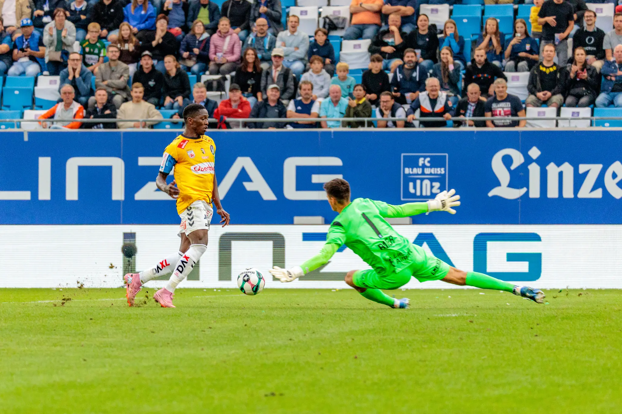 Ein SV Ried Spieler im gelben Trikot schießt auf das Tor, welches vom Blau-Weiß Linz Torhüter in grünem Dress mit einer Flugparade verteidigt wird, vor der Kulisse der Zuschauer