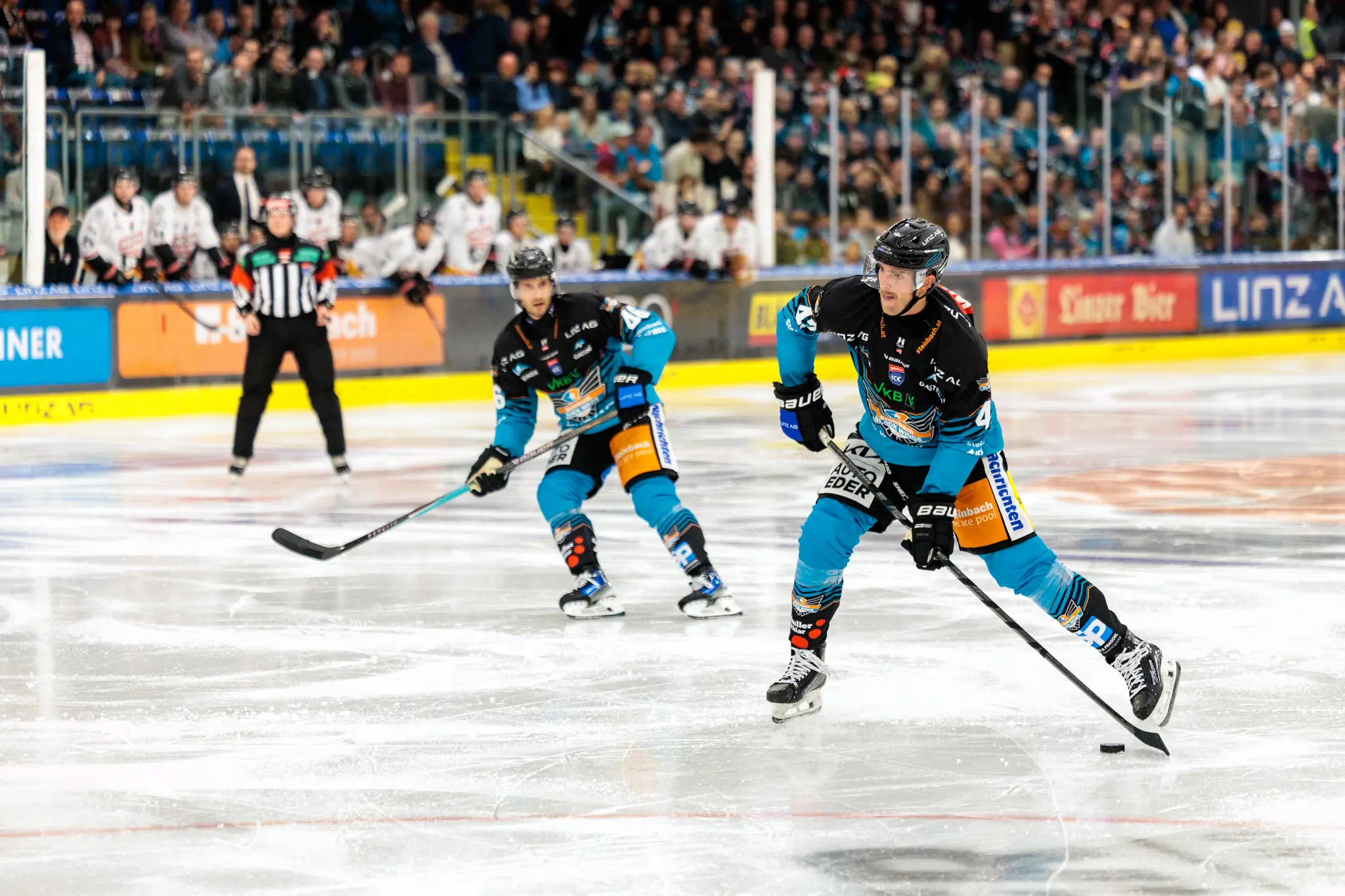 Eishockeyspieler Ryan MacKinnon der Black Wings Linz mit der Nummer 4 skatet mit dem Puck über das Eis während eines Spiels