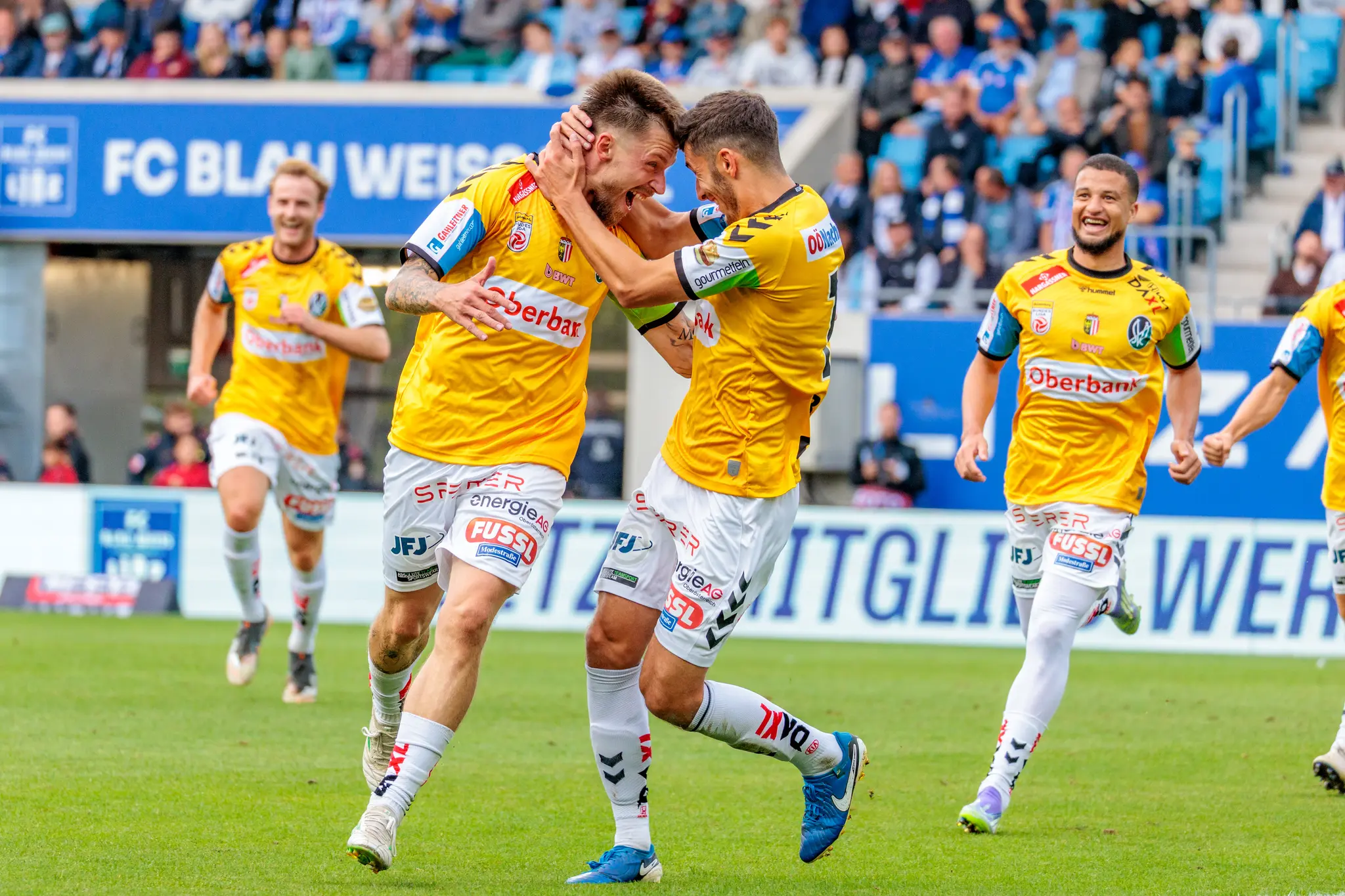 Drei Fußballspieler der SV Ried in gelben Trikots feiern ausgelassen ein Tor während eines Bundesligaspiels
