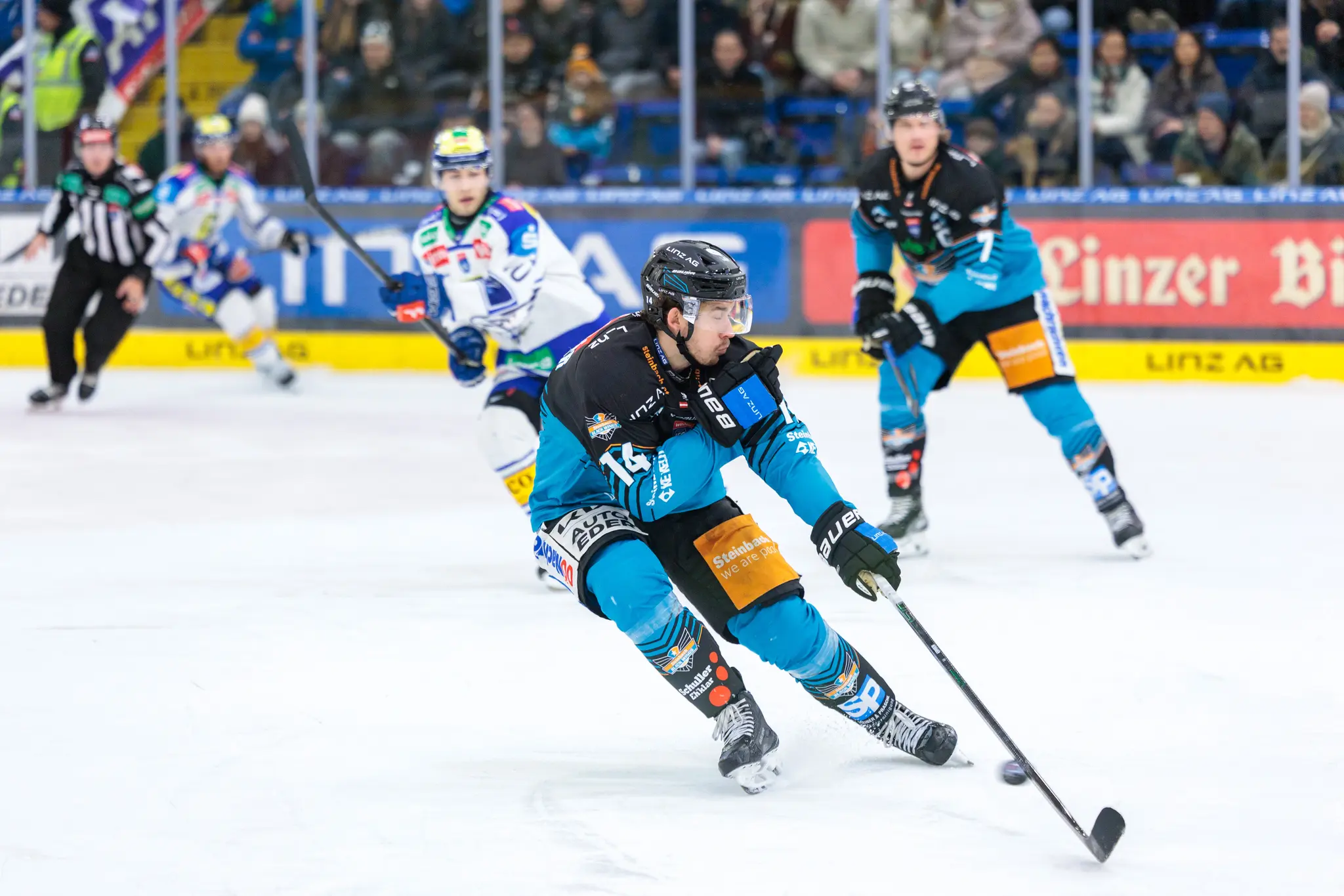 Ein Eishockeyspieler der Black Wings Linz in schwarz-blauem Trikot mit der Nummer 14 führt einen dynamischen Sturmlauf auf dem Eis an, mit weiteren Spielern und einem Schiedsrichter im Hintergrund