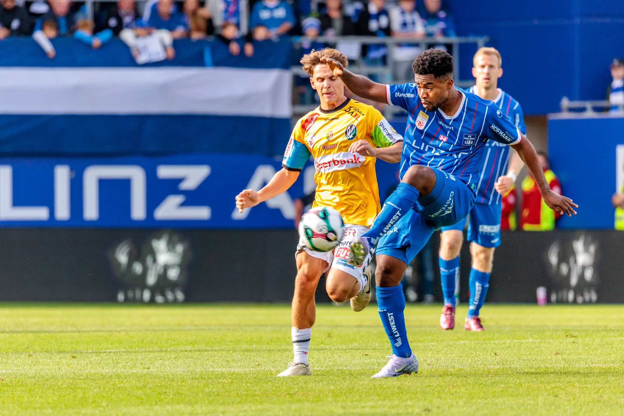 Ein Spieler von Blau-Weiß Linz in blau-weiß gestreiftem Trikot und ein Spieler der SV Ried in gelbem Trikot sind in einem intensiven Zweikampf um den Fußball im Mittelfeld der Bundesliga