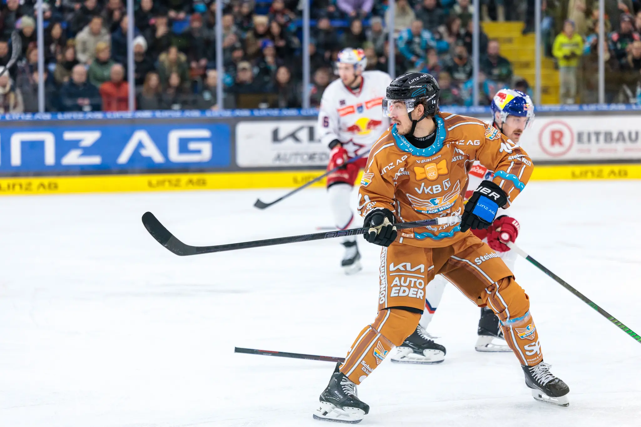Shawn St-Amant von den Steinbach Black Wings Linz behauptet im markanten Sondertrikot konzentriert den Puck während der packenden ICE Hockey League Partie gegen Red Bull Salzburg