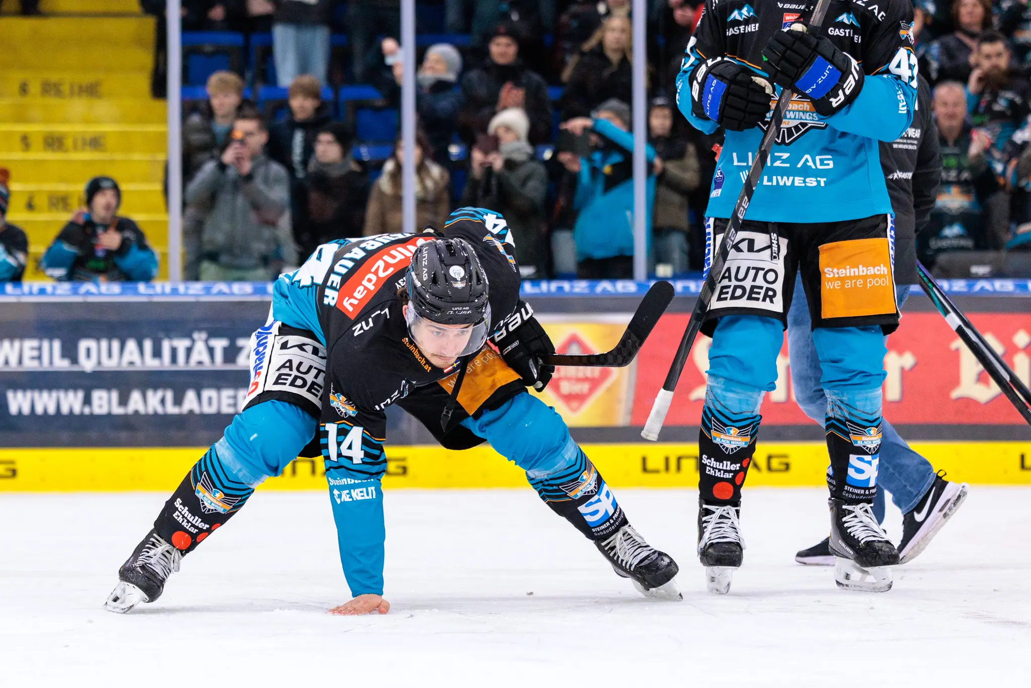 Ein Eishockeyspieler der Black Wings Linz mit der Rückennummer 14 beugt sich tief über das Eis, den Schläger in der Hand und die linke Hand zur Balance auf dem Eis