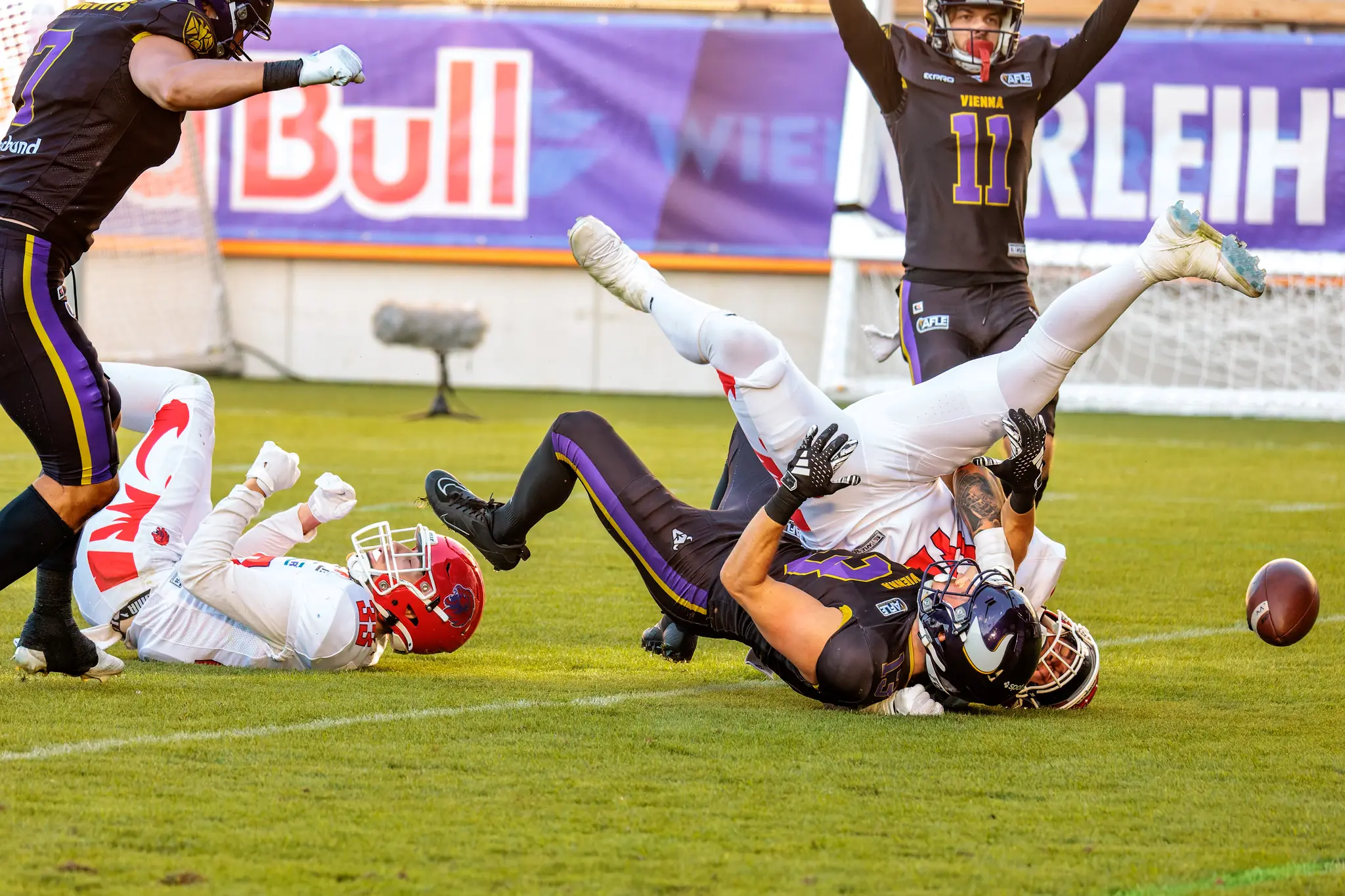 Kurz vor der Endzone: Philipp Haun (13) und ein Red-Lions-Verteidiger krachen zu Boden, der Ball löst sich im Touchdown-Bereich – Fabian Eder (11) hebt sofort die Arme, Fumble oder Touchdown liegen eng beieinander.