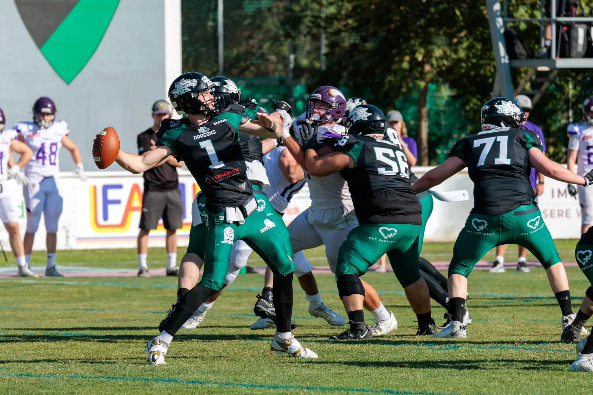 Dragons-Quarterback