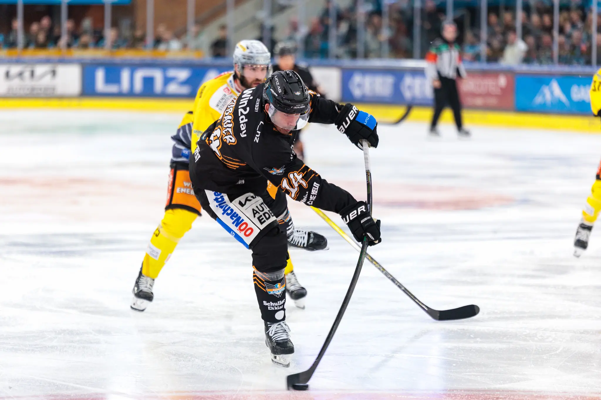 Der Stürmer der Black Wings Linz, Graham Knott, führt den Puck mit seinem Schläger über das Eis, während ein Spieler der Vienna Capitals ihn zu verteidigen versucht