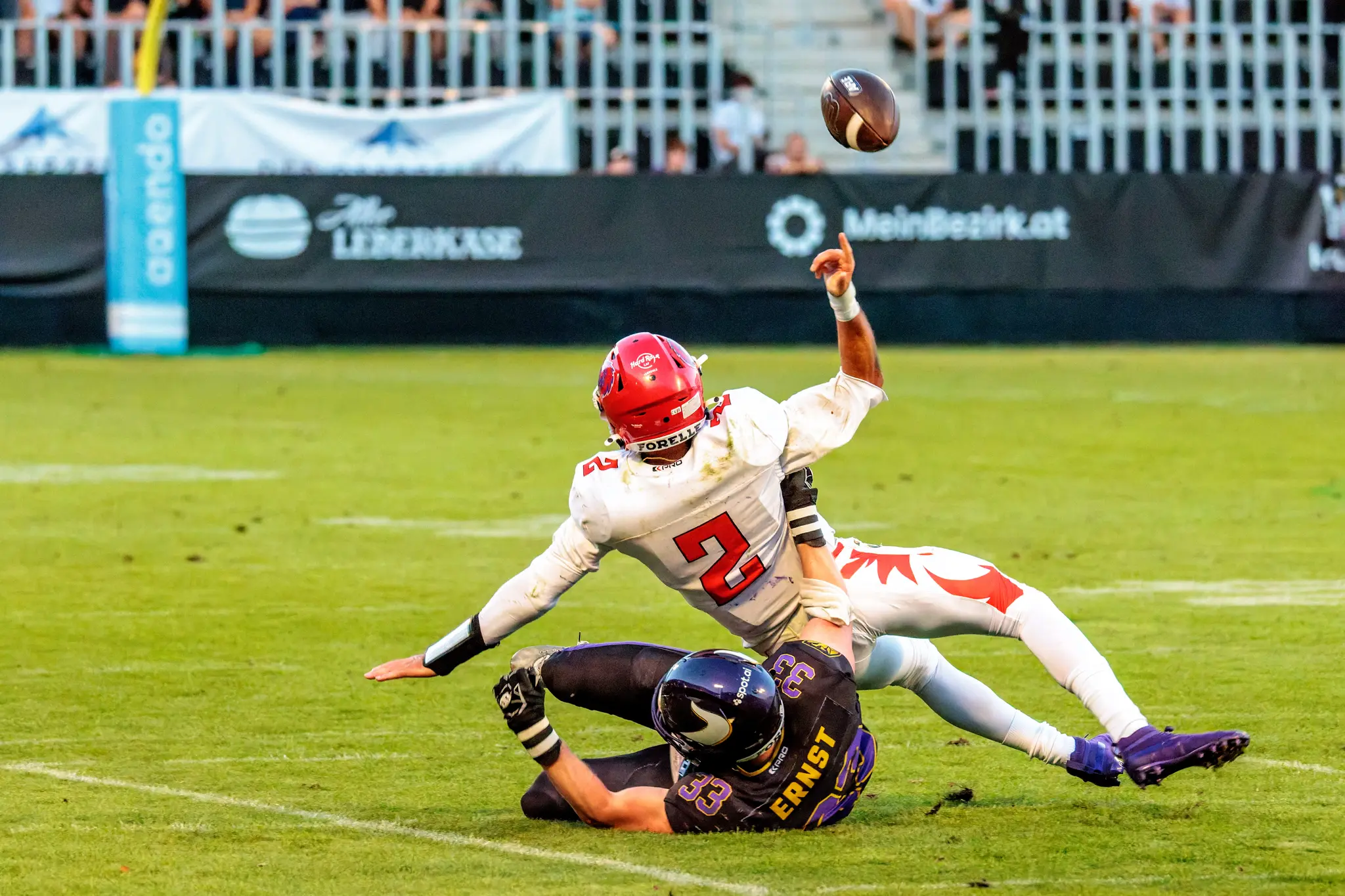 Vienna Vikings gegen die Red Lions: Sebastian Ernst (33) reißt den gegnerischen Quarterback (Nr. 2) im Fallen zu Boden, der Ball segelt spektakulär ins Abendlicht.