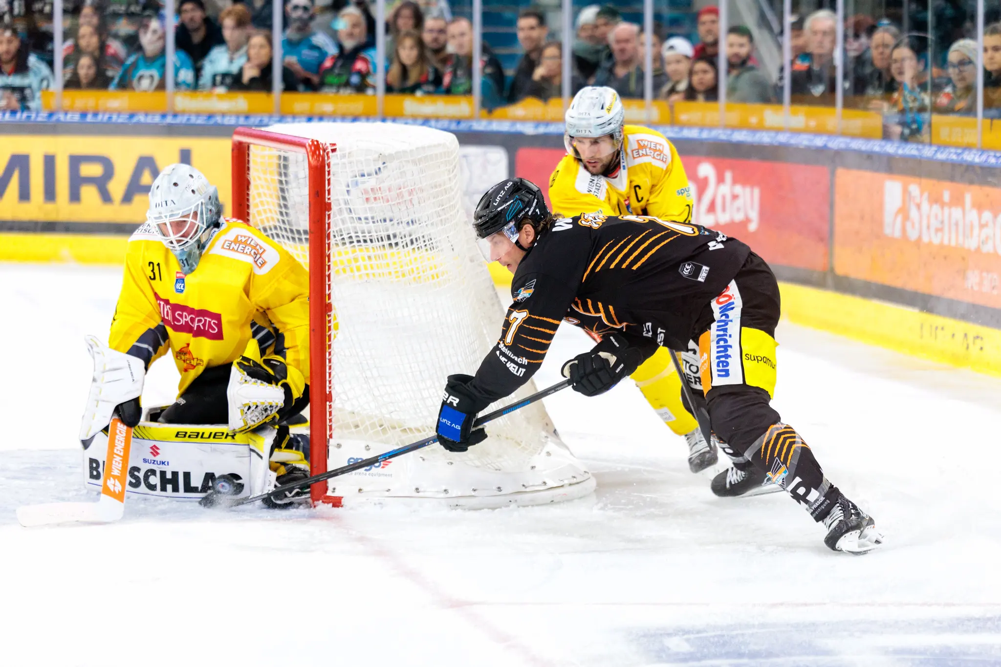 Brian Lebler von den Black Wings Linz versucht in einer intensiven Spielszene direkt vor dem Tor, den Puck am Goalie der Vienna Capitals, Evan Cowley, vorbeizubringen