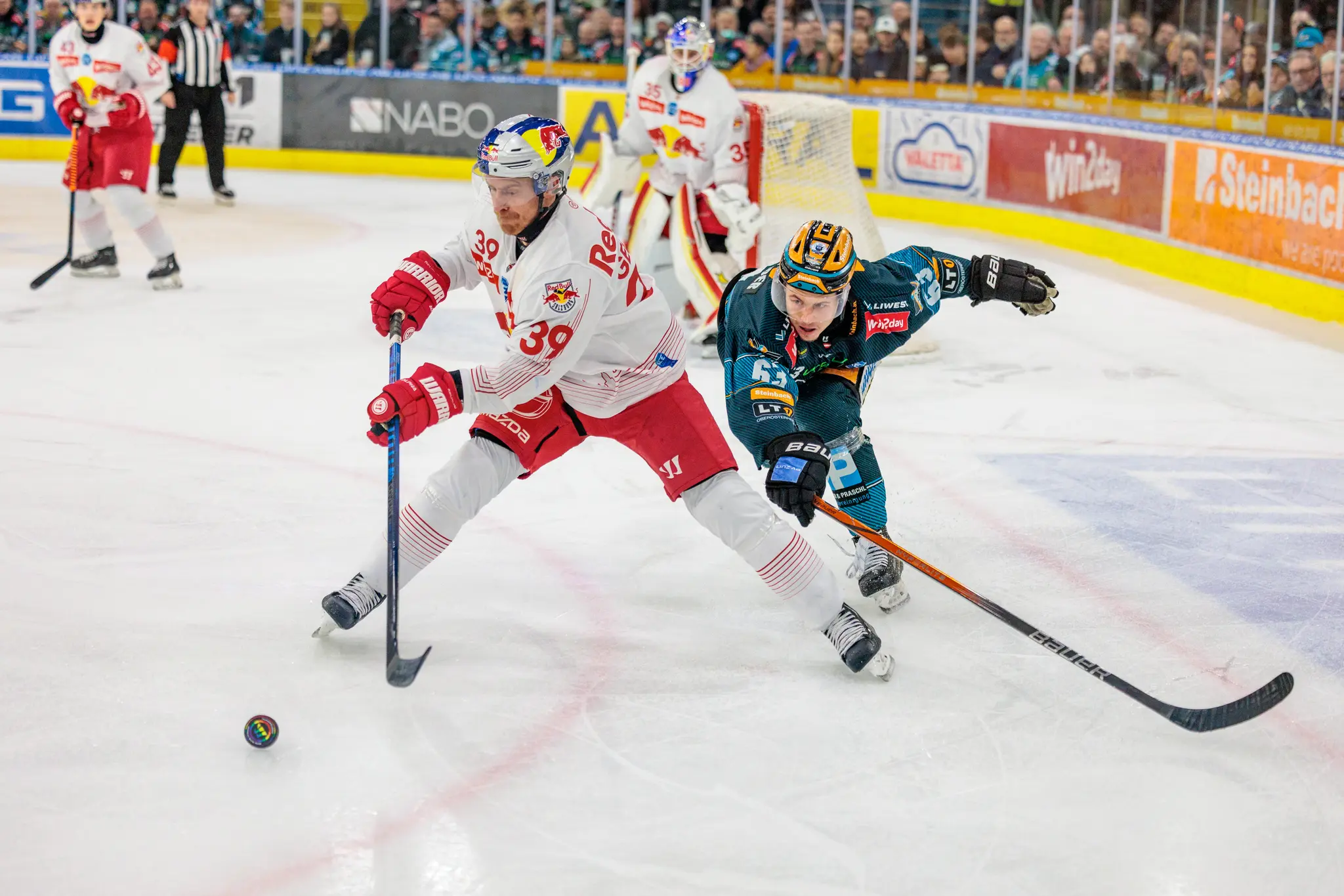 Zwei Eishockeyspieler in rot-weißer und dunkelgrüner Ausrüstung kämpfen auf dem Eis während eines Spiels um den Puck 