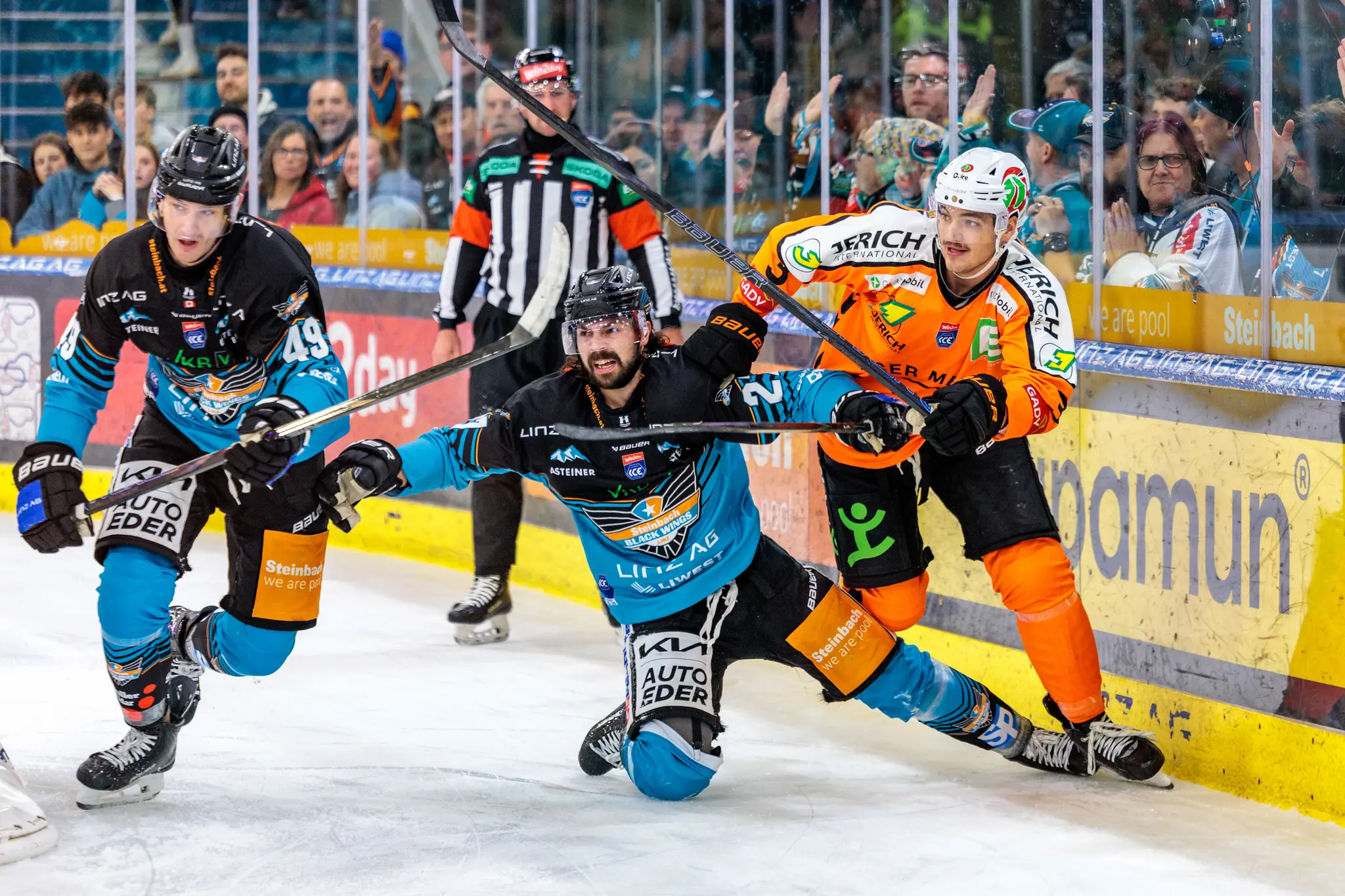 Eishockeyspieler Graham Knott der Black Wings Linz im Zweikampf mit Kevin Roy der Graz99ers nahe der Bande, wobei Knott auf dem Eis gleitet