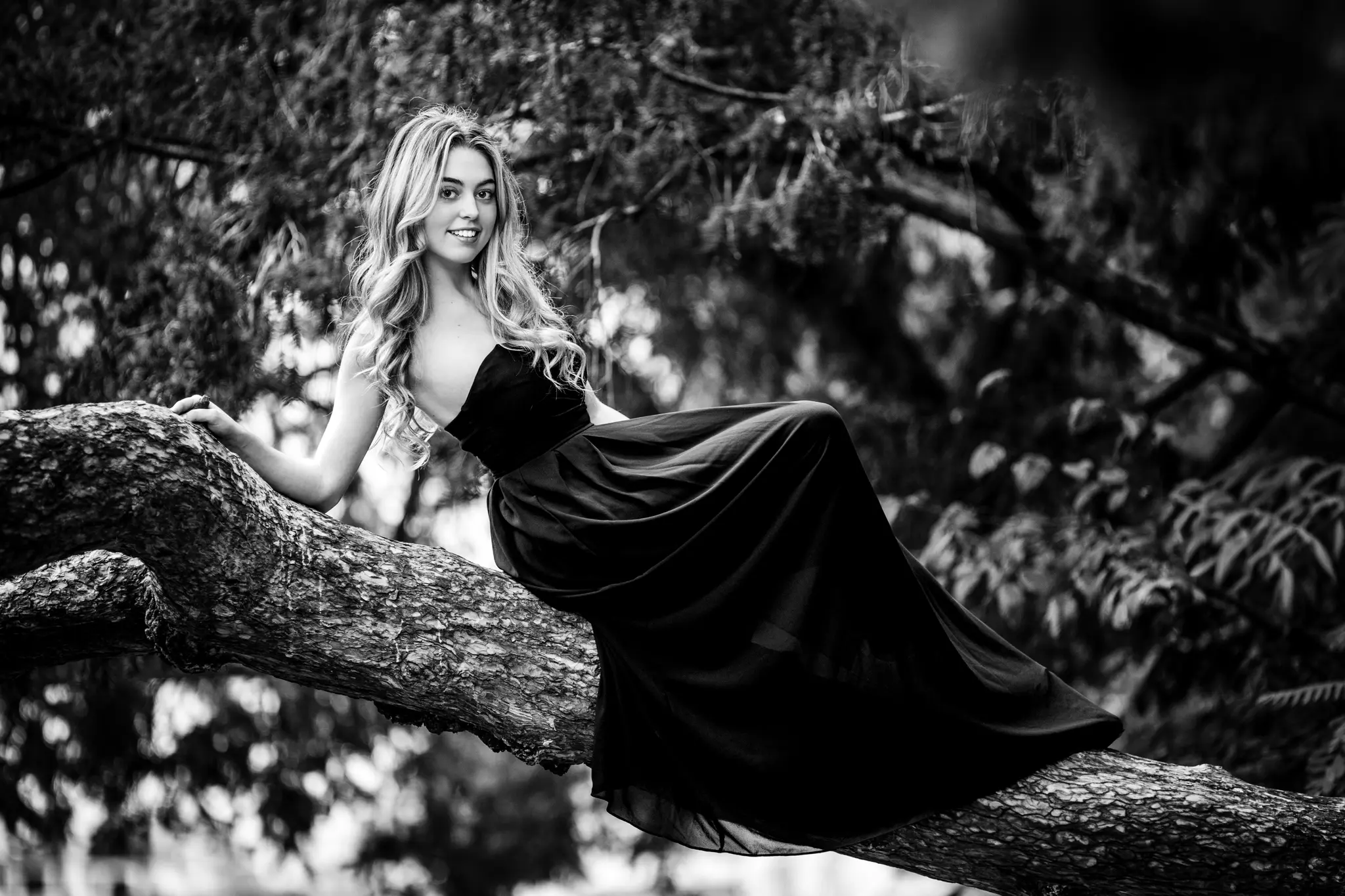 Model Valentina sitzt in einem eleganten, schwarzen Abendkleid auf dem Ast eines Baumes für ein ausdrucksstarkes Schwarz-Weiß-Porträt im Wiener Stadtpark