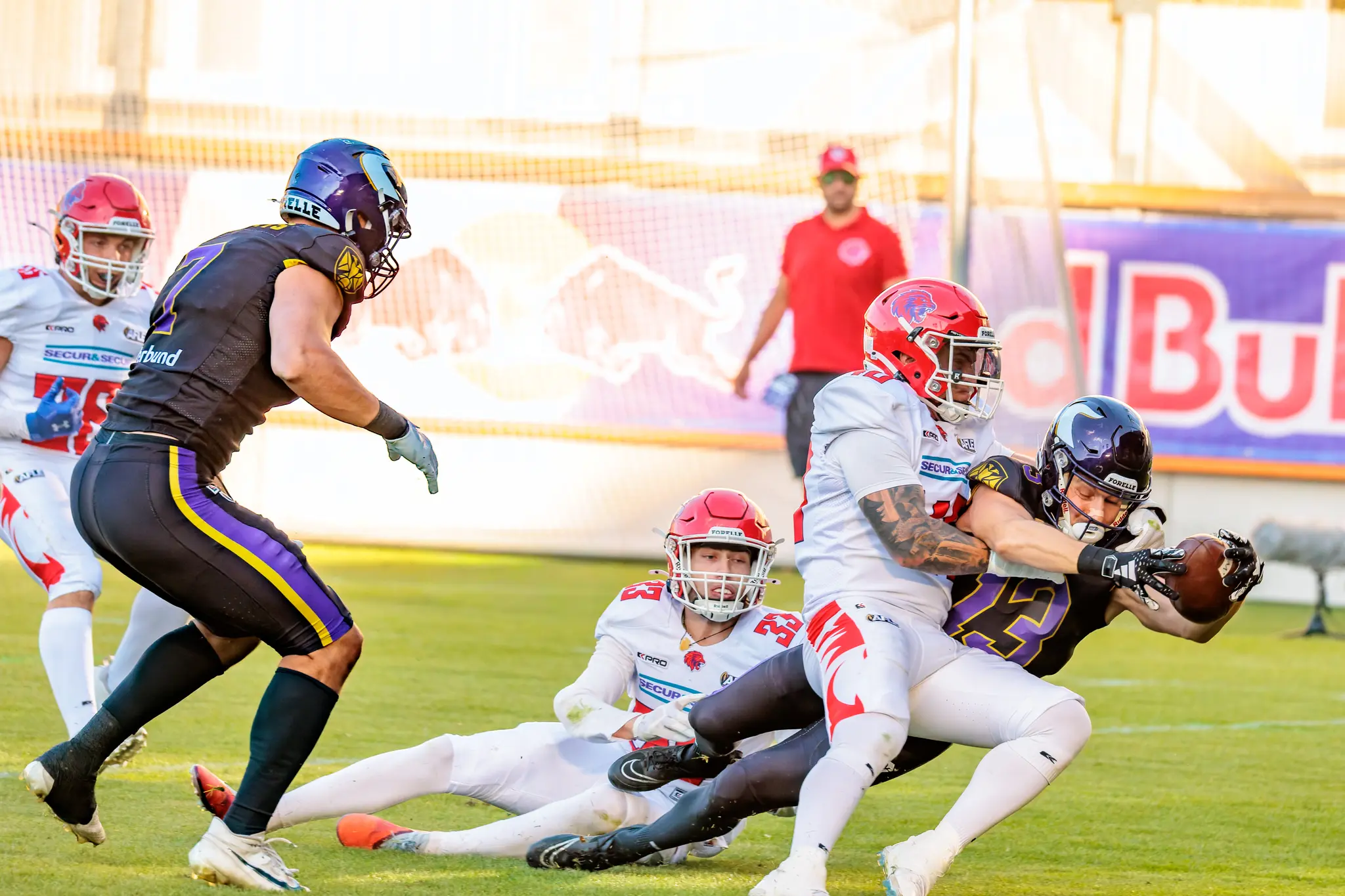 AFLE Week 6: Vienna Vikings vs Firenze Red Lions – Heimsieg in Wien