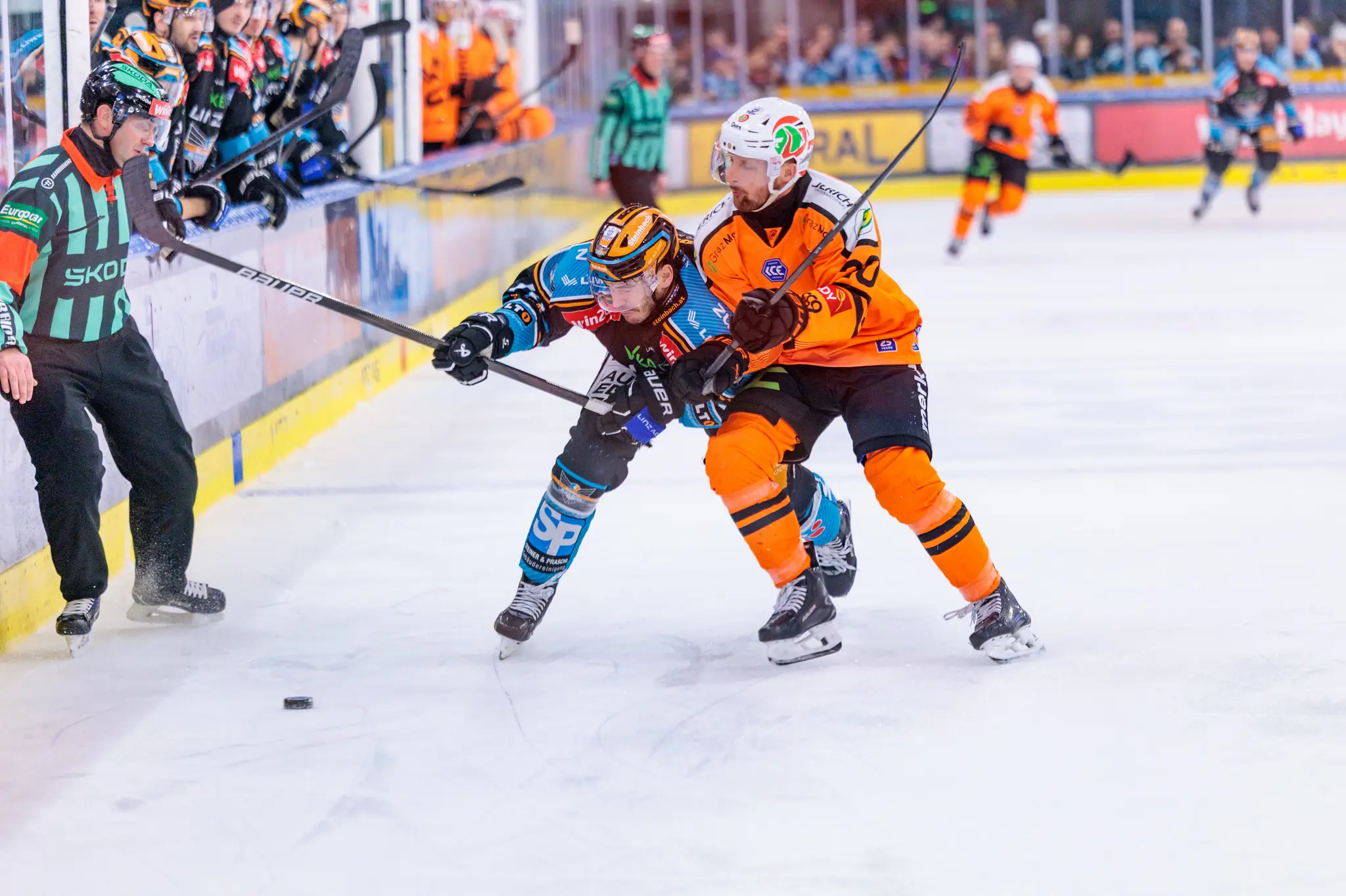 Zwei Eishockey-Spieler ringen auf dem Eis um den Puck, während ein Schiedsrichter das Spielgeschehen verfolgt 