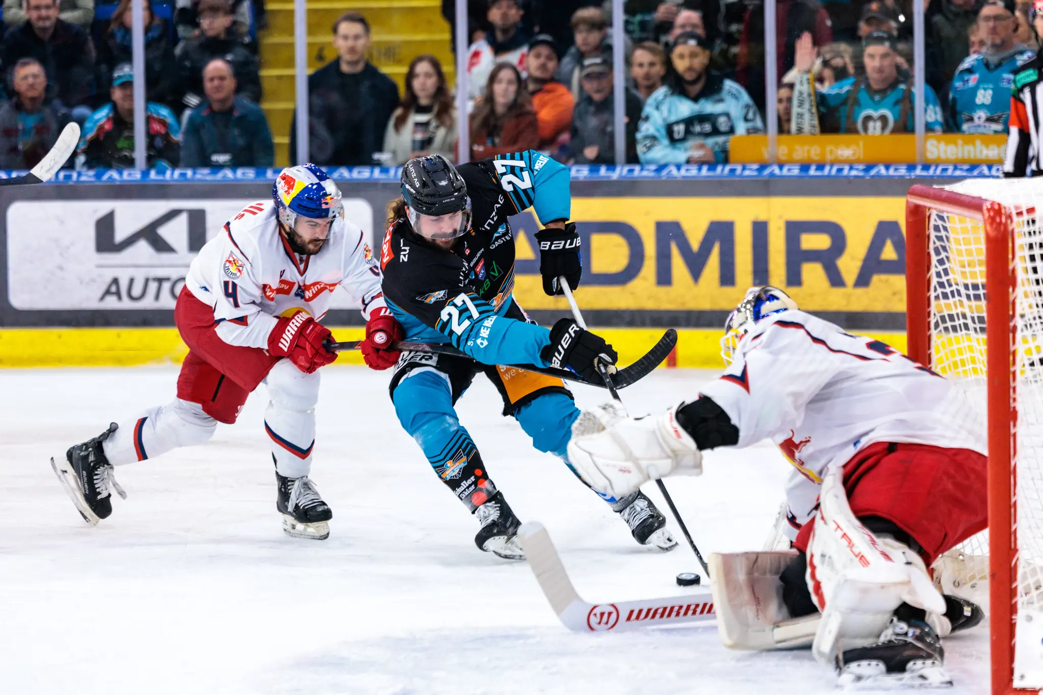 Der Eishockeyspieler Shawn St-Amant von den Steinbach Black Wings Linz versucht während des Spiels gegen den EC Red Bull Salzburg ein Tor zu erzielen