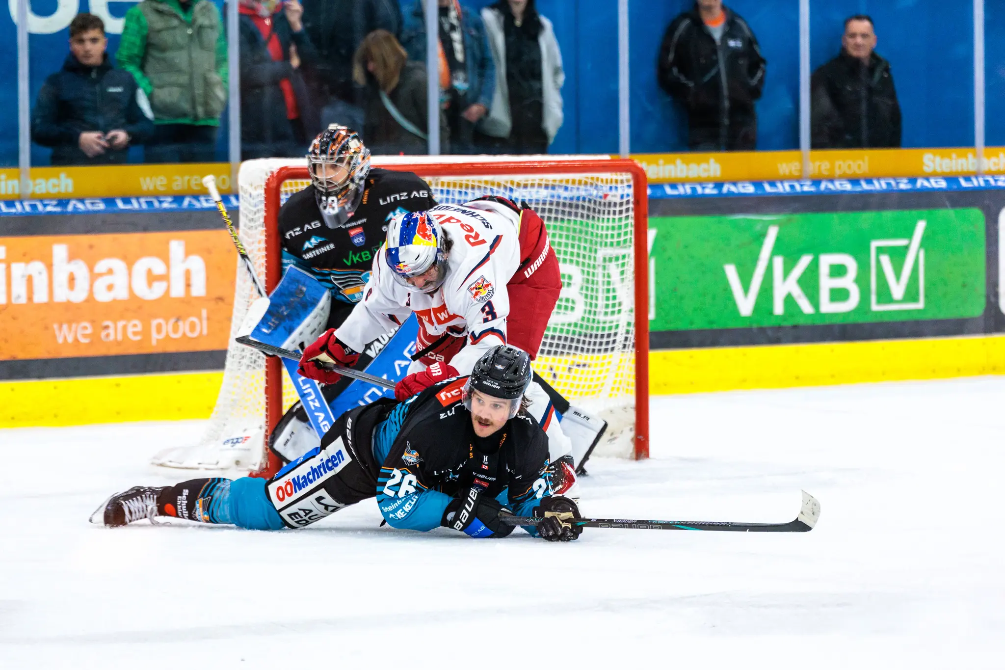 Der Stürmer der Steinbach Black Wings Linz, Travis Barron, kämpft auf dem Eis liegend im Torraum gegen Peter Schneider vom EC Red Bull Salzburg
