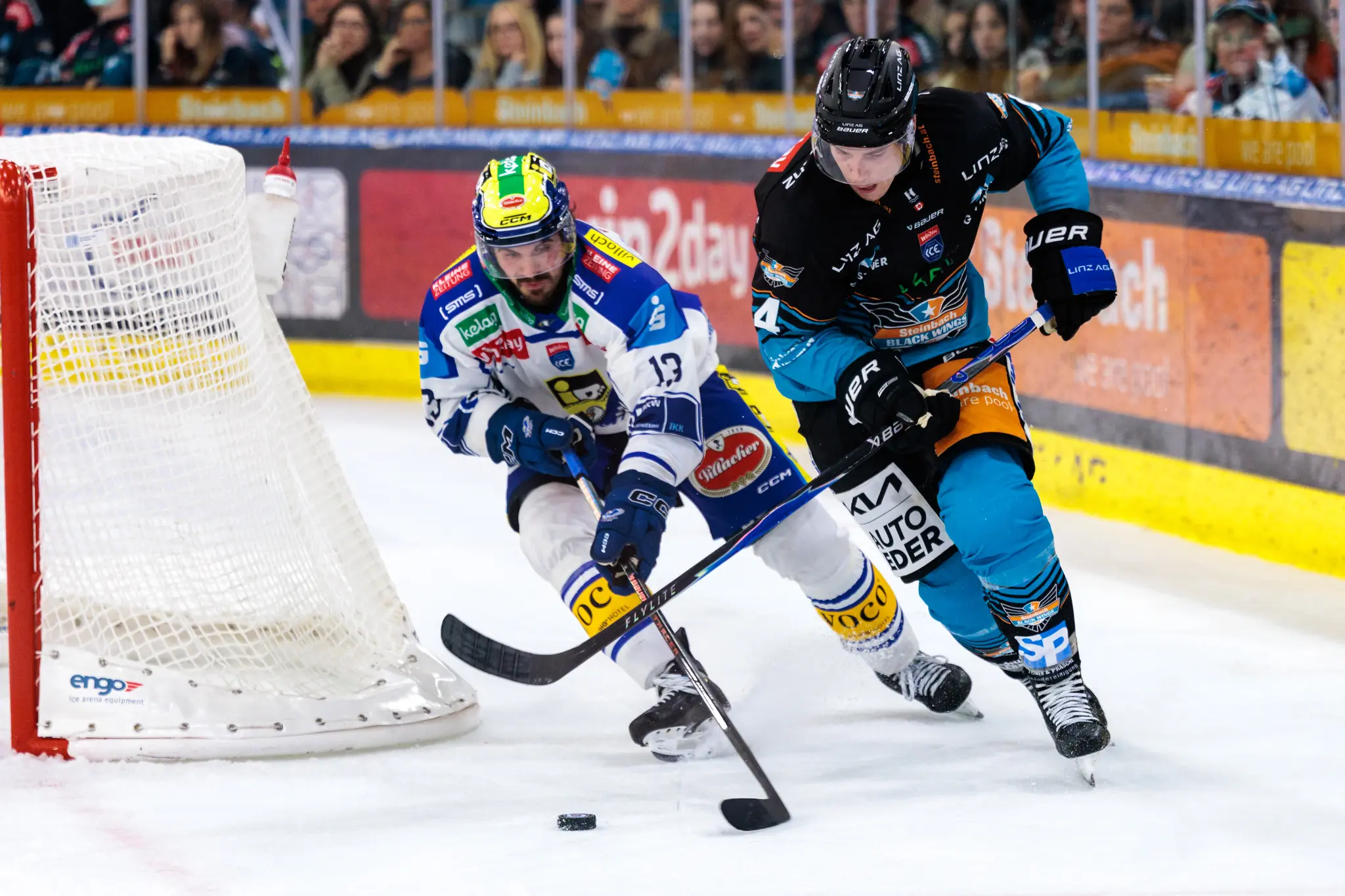 Eishockey-Spieler Adam Helewka (VSV, Nr. 13) und Ryan MacKinnon (Black Wings Linz, Nr. 4) kämpfen auf dem Eis vor dem Tor um den Puck