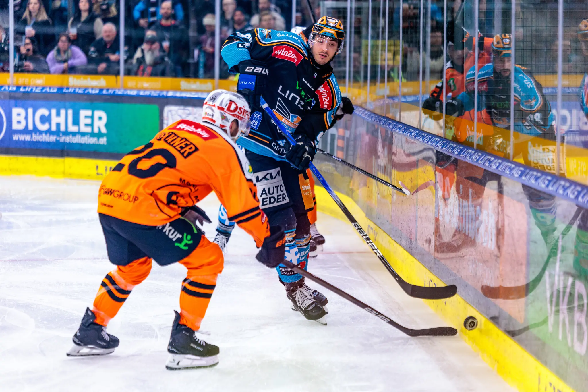 Ein Spieler der Black Wings Linz in dunklem Trikot und ein Gegenspieler in orangem Trikot kämpfen während eines Eishockeyspiels an der Bande um den Puck