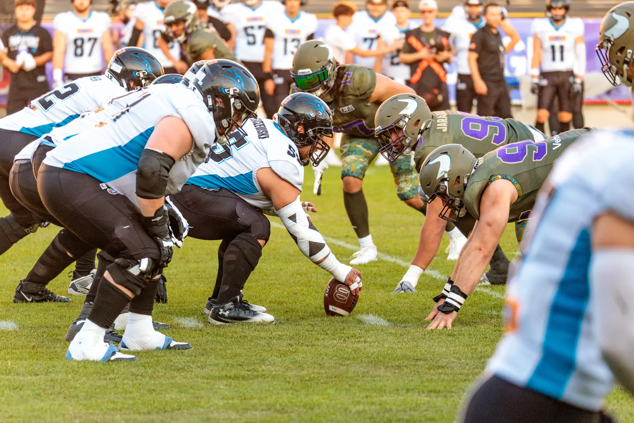 Panthers-Offense und Vikings-Defense stehen kurz vor dem Snap in tiefer Haltung gegenüber.