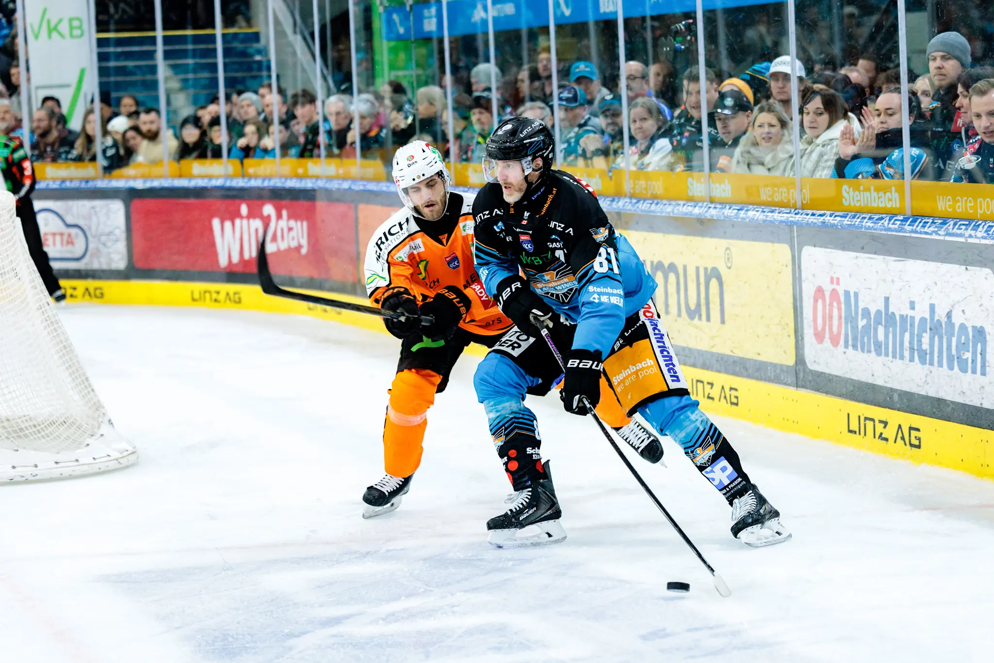 Ein Eishockeyspieler der Grazer 99ers in orange kämpft mit einem Spieler der Black Wings Linz in blau um den Puck auf dem Eis