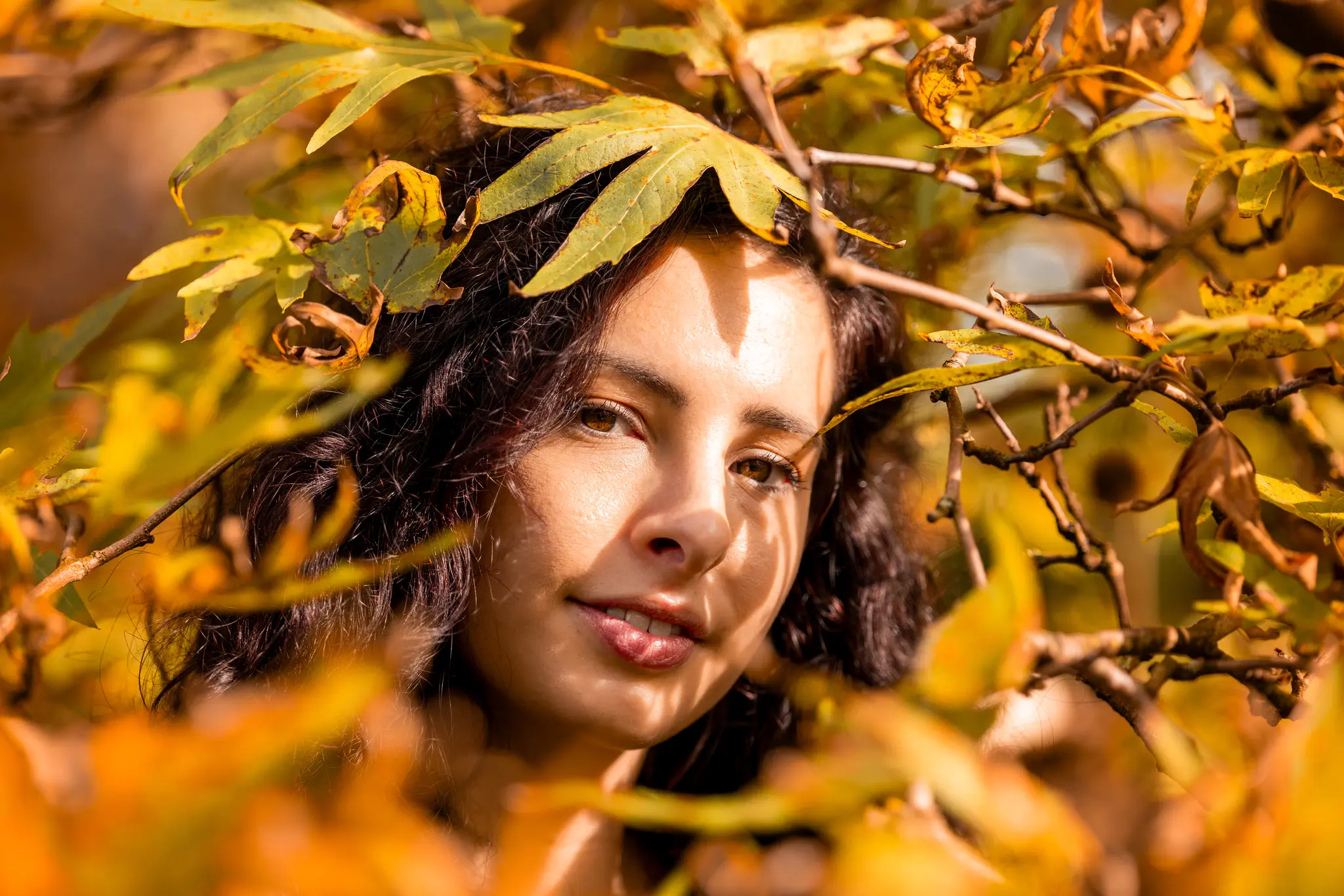 Herbst Shooting