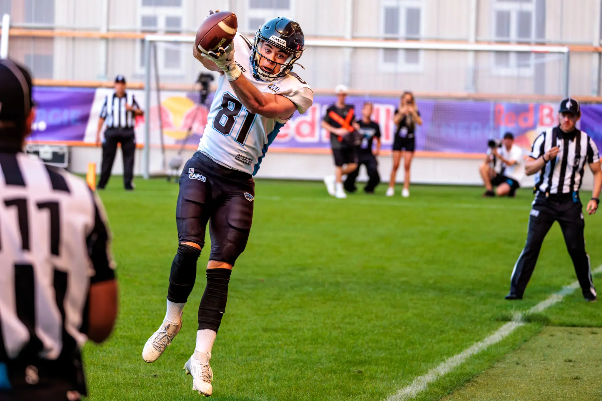 Panthers-Spieler Nummer 81 fängt den Football in der Endzone mit beiden Händen.