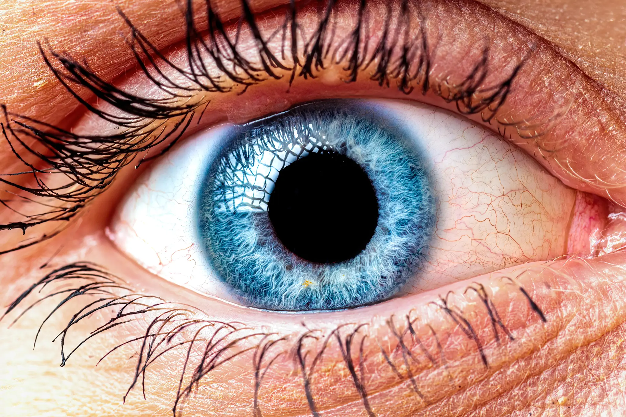 Makroaufnahme eines menschlichen Auges mit leuchtend blauer Iris, dunklen Wimpern und feiner Hautstruktur