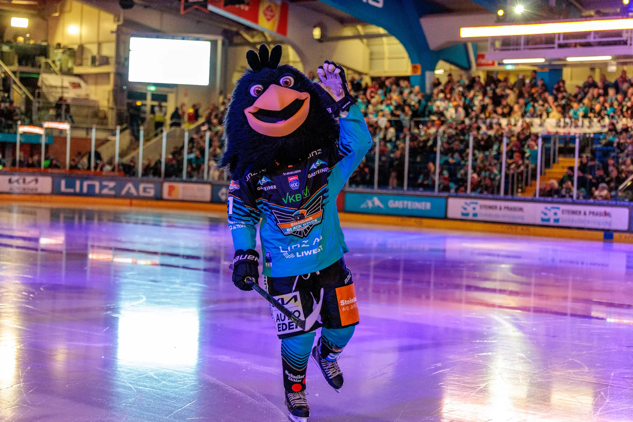 Das Maskottchen der Steinbach Black Wings Linz, ein großer schwarzer Vogel, läuft in voller Eishockeymontur über das Eis und winkt den Zuschauern lächelnd zu