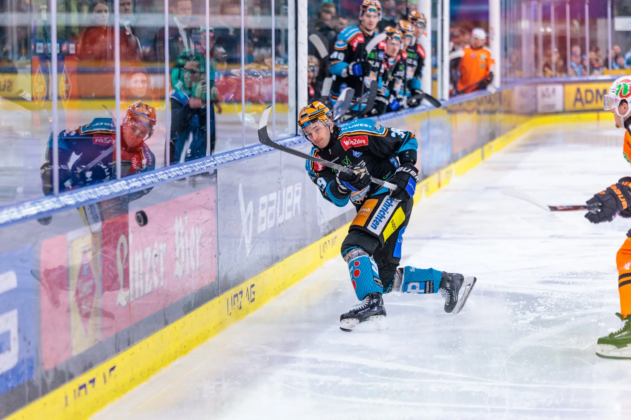 Ein Eishockeyspieler der Black Wings Linz in schwarzem Trikot mit türkisblauen Akzenten manövriert den Puck an der Bande der Linz AG Eisarena 